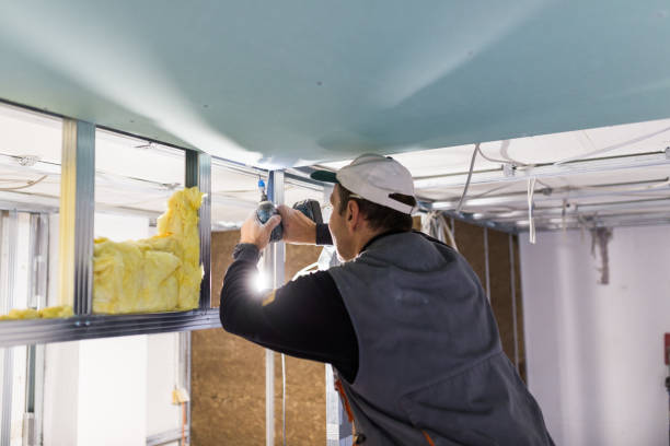 Best Geographic-Specific Insulation Services in Hardeeville, SC